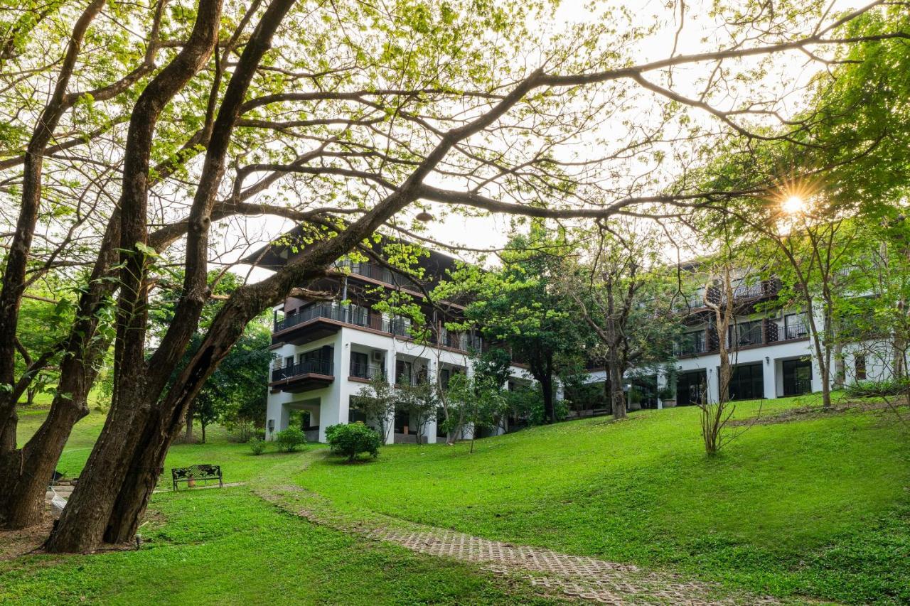 Rain Tree Khao Yai Hotel Pak Chong Zewnętrze zdjęcie